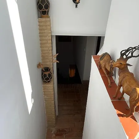 Esencia De Arcos Apartment